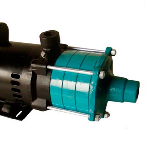 Motobomba 2,0 cv monof�sico modelo 