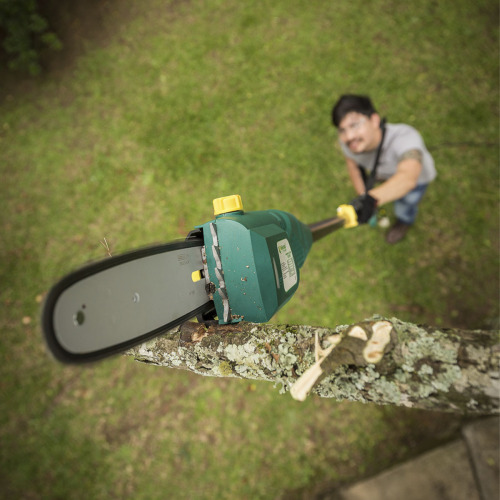 Podador de galhos el�trico 750W haste telesc�pica - PA750T  220V