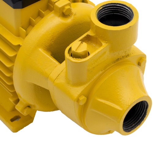 Motobomba perif�rica 1 hp bivolt - Acquapump  110V/220V