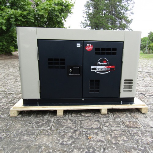 Gerador de energia 10 Kva a diesel cabinado partida elétrica monofásico - TDWG12000SGE-N 110V/220V Gerador de energia 10 Kva a diesel cabinado partida elétrica monofásico - TDWG12000SGE-N 110V/220V