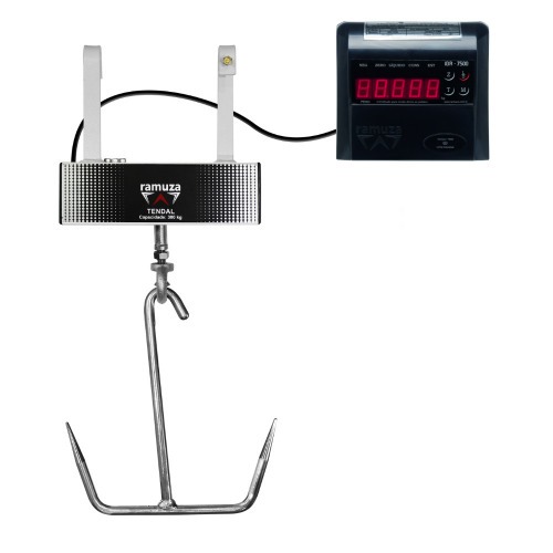 Balan�a digital tipo gancho 300Kg x 100g display de LED - DT  110V/220V