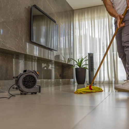 Ventilador e secador de pisos 200W com tr�s n�veis de velocidade - DRY MAX  110V