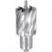 Broca anular encaixe Weldon 30 mm x 30 mm 