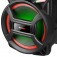 Caixa de som amplificada 850W RMS - ACA 800 GLADIADOR  110V/220V