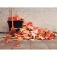 Vassoura met�lica 22 dentes com cabo de 120 cm