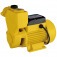 Motobomba perif�rica autoaspirante 1 hp - TPS-80  110V/220V