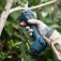 Tesoura para poda a bateria 12V Brushless com 2 baterias e maleta - Pro Pruner  110V/220V
