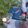 Tesoura para poda a bateria 12V Brushless com 2 baterias e maleta - Pro Pruner  110V/220V